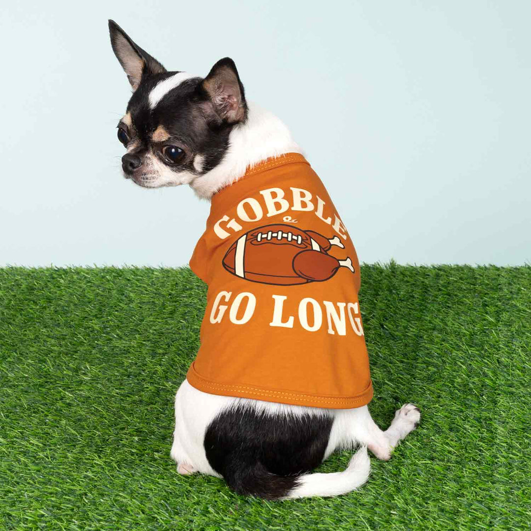 Adorable dog dressed in a sporty orange dog shirt featuring a football graphic