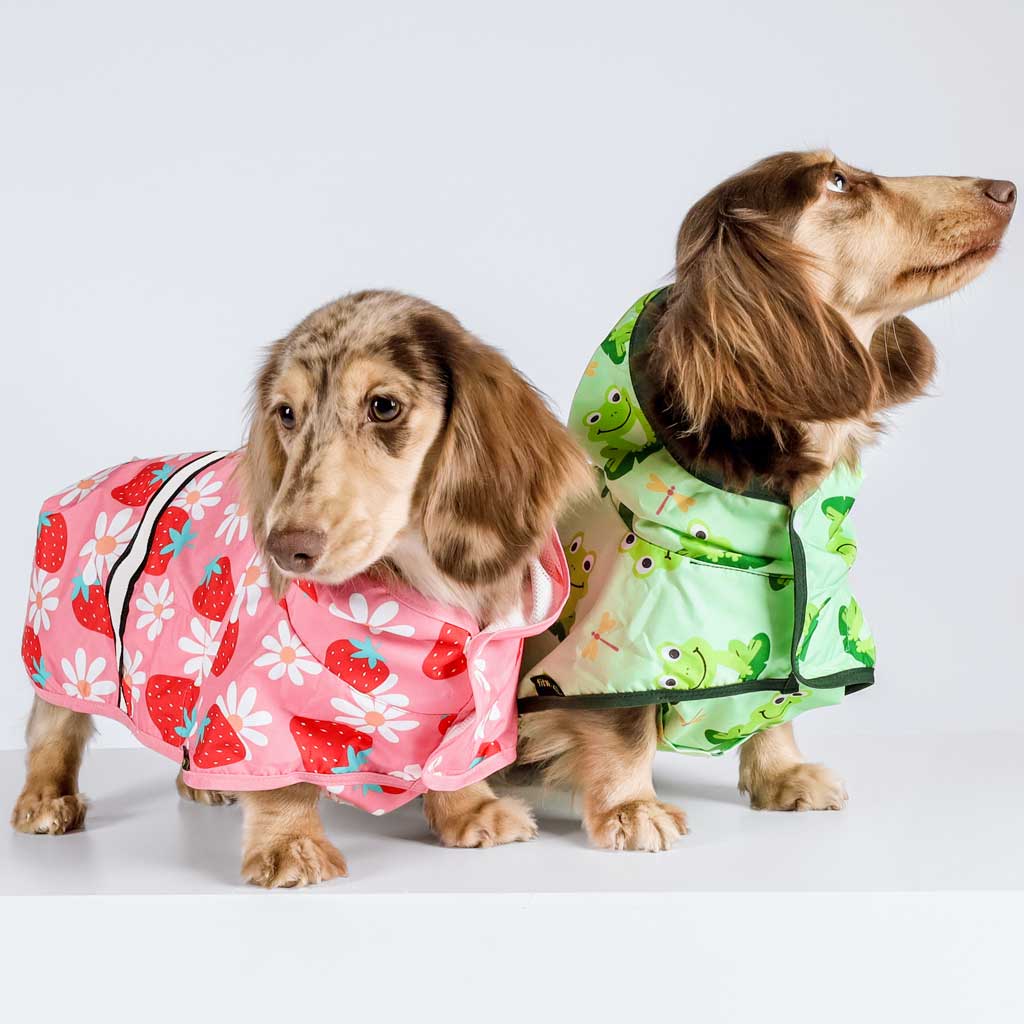 Dachshunds in Cute Dog Raincoat with Strawberry Prints - Fitwarm Dog Clothes