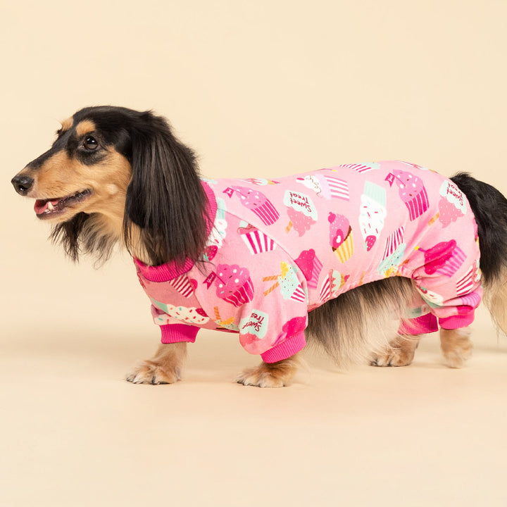 Adorable dachshund dressed in playful dog onesie with colorful cupcake prints on pink fabric