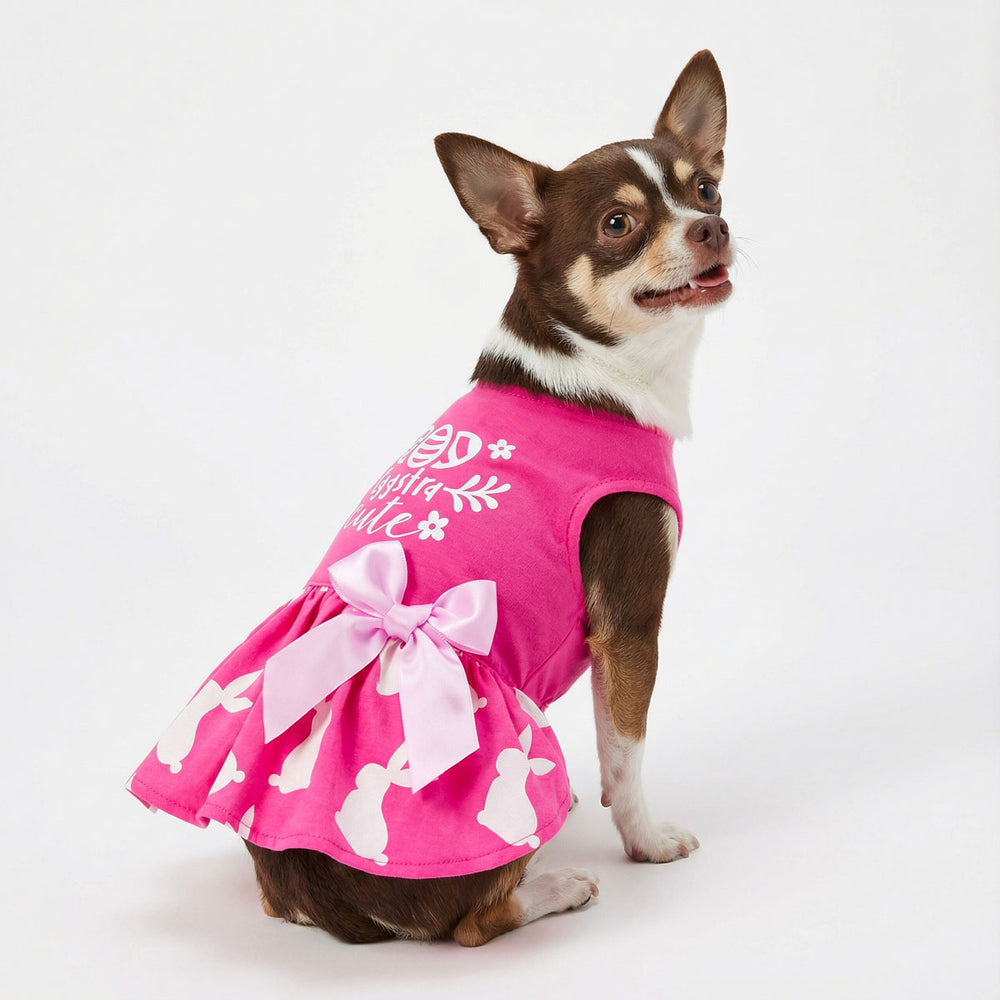 Eggstra Cute Easter dog dress with bunnies and "Eggstra cute" text, featuring a pink color and bow detail.