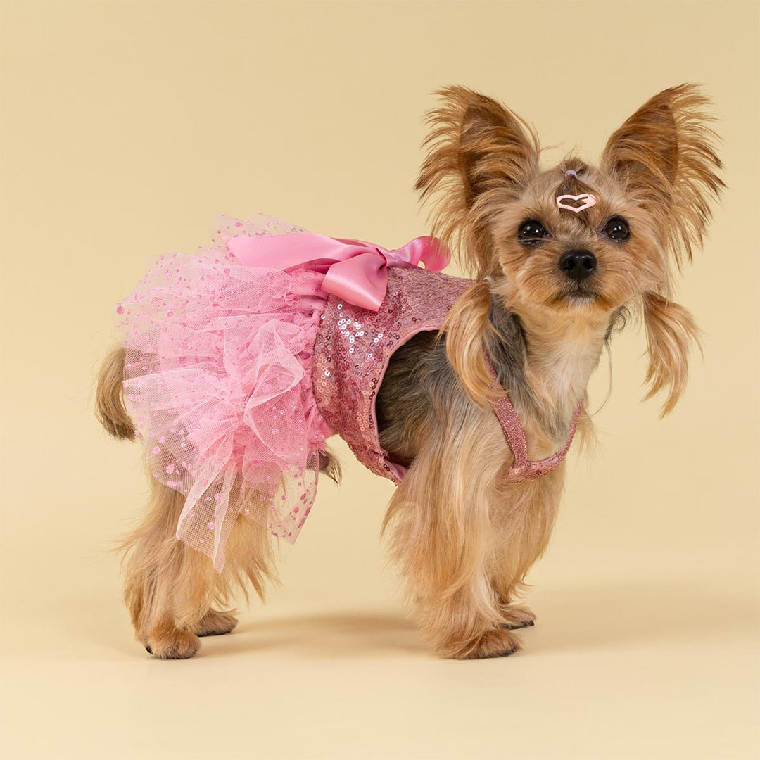Small dog wearing a sparkly pink dog dress with tulle and sequins
