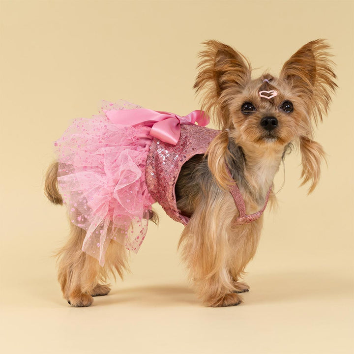 Small dog wearing a sparkly pink dog dress with tulle and sequins