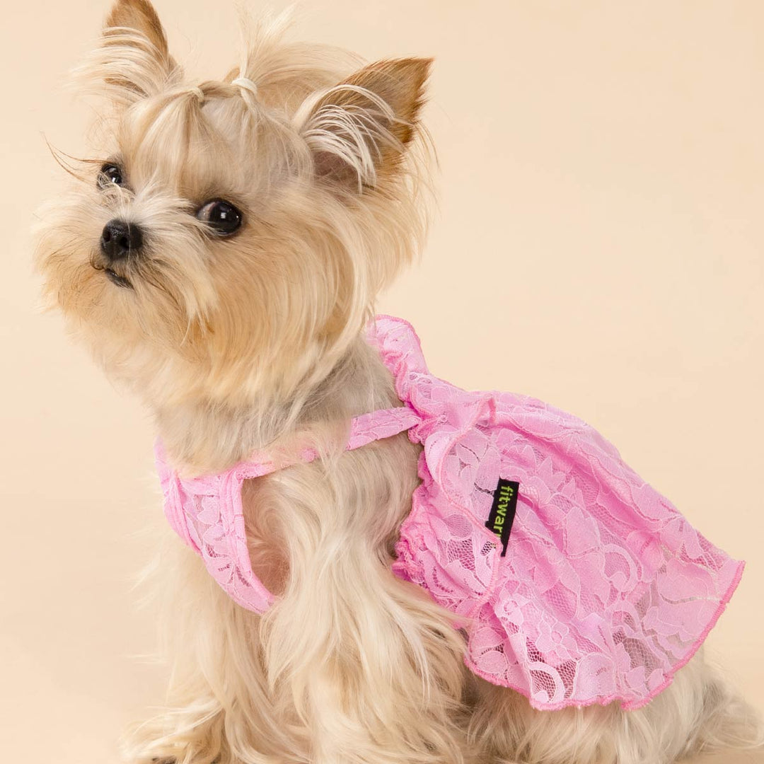 pink dog dress Lace Dog Dress