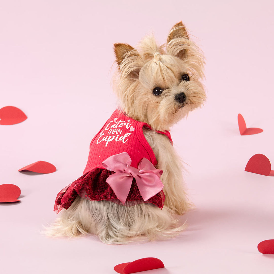 dogs dressed up cute Dogs Dressed Up Images Browse 71,162 Stock Photos, Vectors, and Video