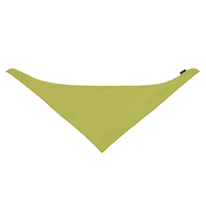 Custom Embroidered Dog Bandana