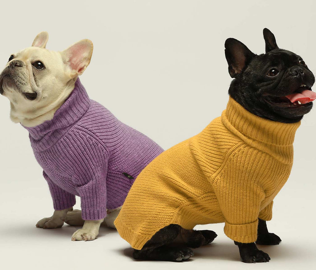 Turtleneck Knitted French Bulldog Sweater - Fitwarm
