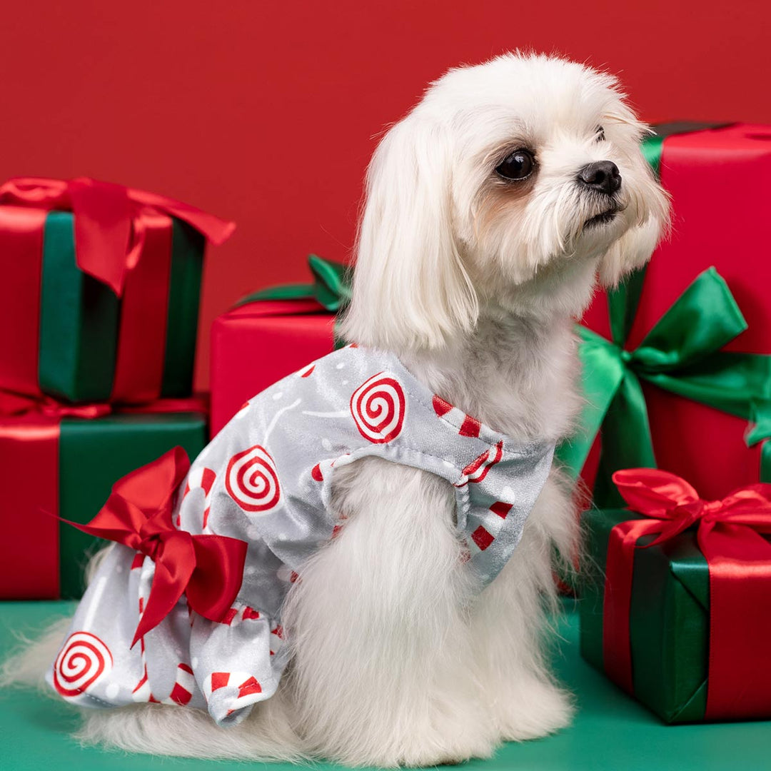 Candy Cane Christmas Dog Dress Velvet Pet Holiday Outfit – Fitwarm