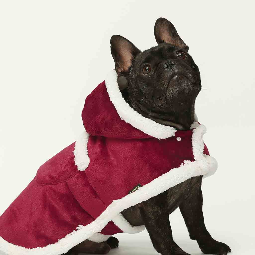 Dog Coats - Dog Winter Coats - Dog Winter Clothes - Fitwarm