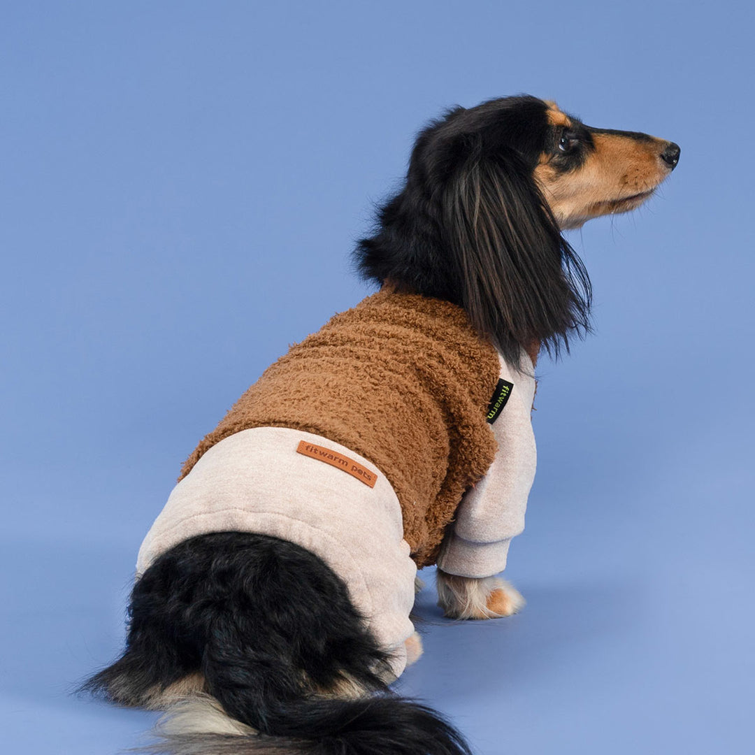Dog models fluffy two-tone dog pajamas for a comfortable indoor look