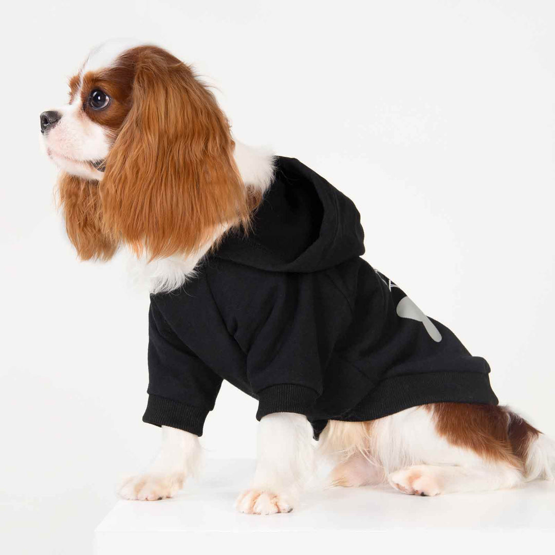 Bad to the Bone Dog Hoodie for King Charles Spaniel - Fitwarm Dog Clothes