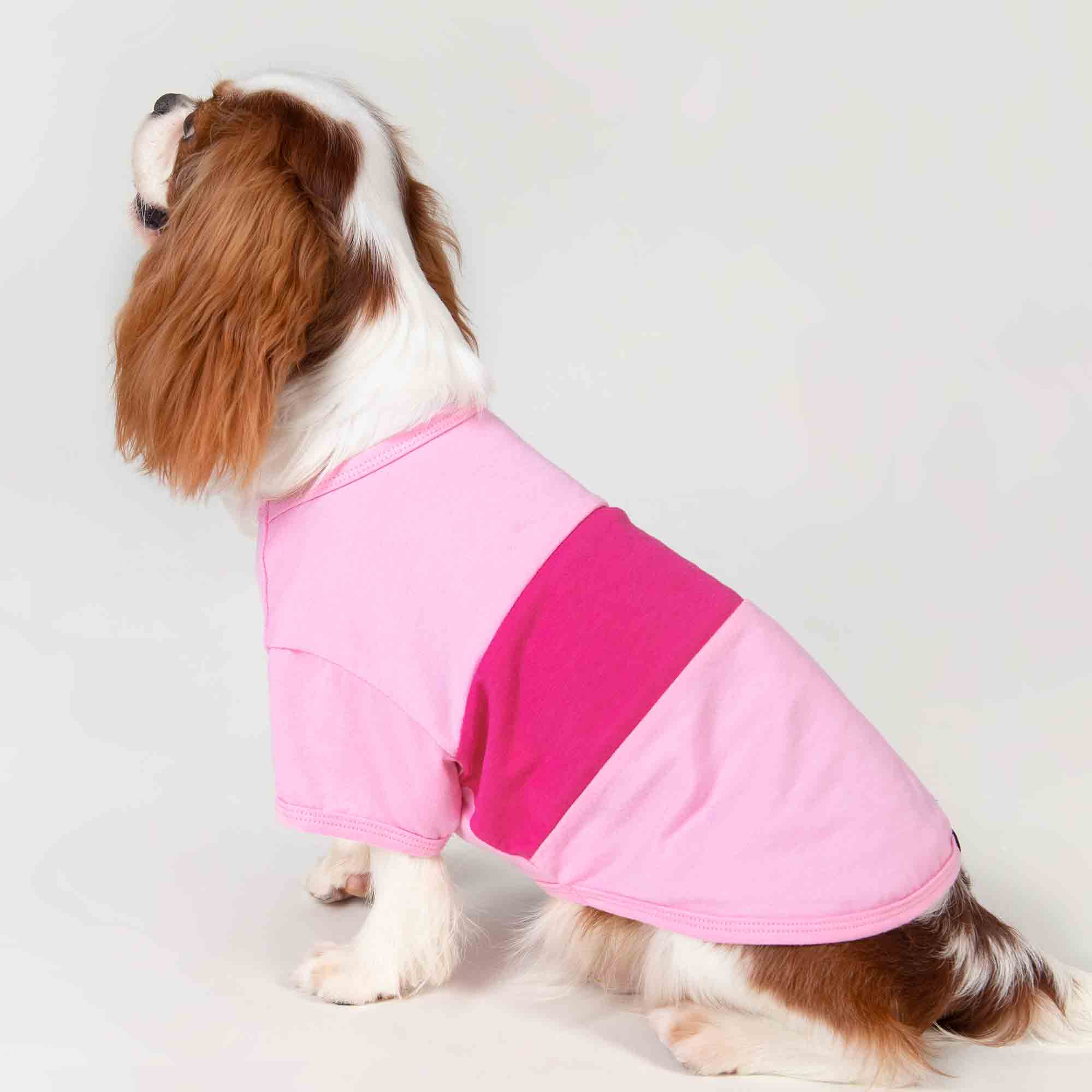Fitwarm 3er-Pack Hunde-Shirts – Gestreift, Atmungsaktiv – Größe M Für Kleine Hunde (Brustumfang 40,6 Cm)
