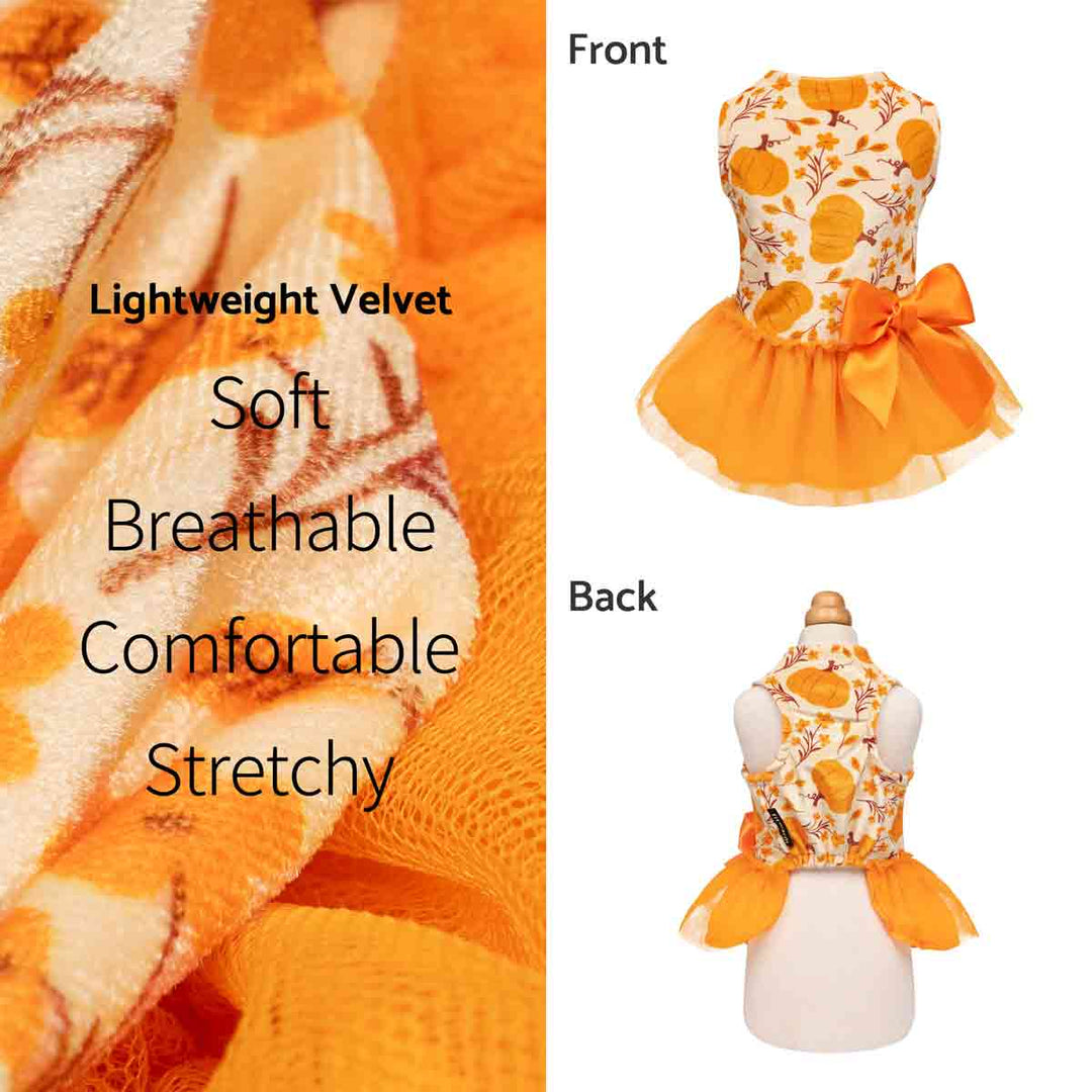 Soft velvet dog dress with pumpkin prints, shown with fabric detail and front and back views.