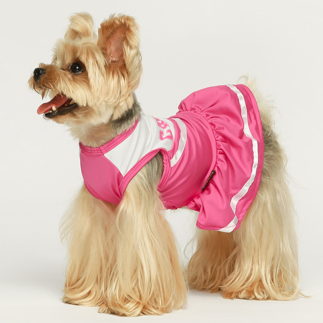 Cheerleader Dog Costume dresses for dogs