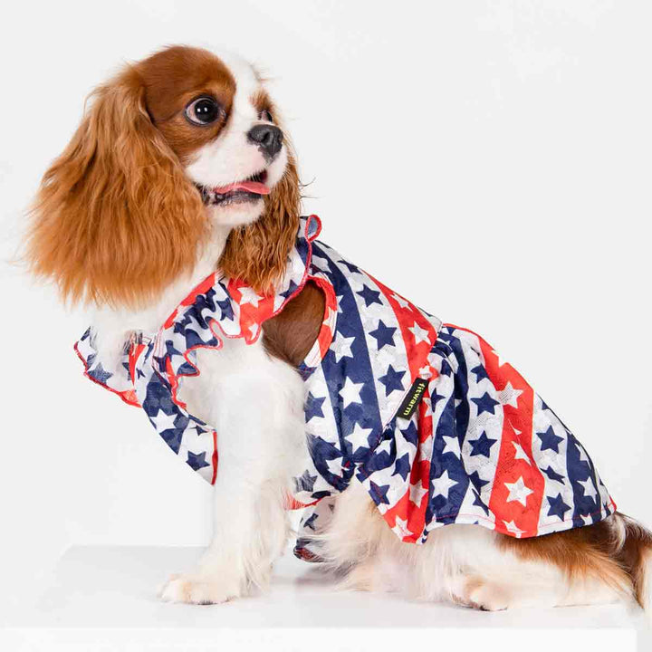 Vestido para perro con estrellas patrióticas