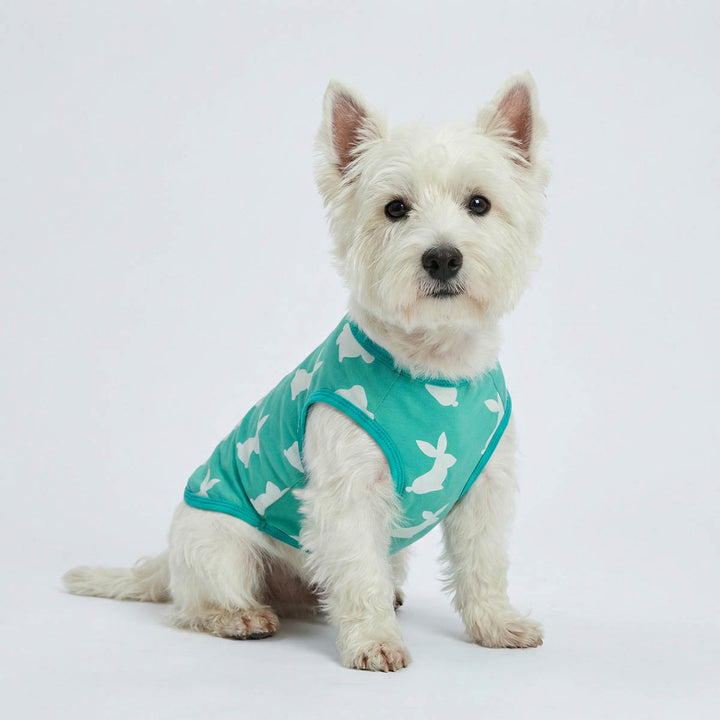 Westie sitting on the ground with Easter dog tank top with bunny prints