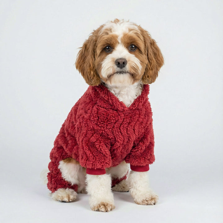 Cute small dog dressed in red dog onesie with a collared neck, shown in a clean white studio setting.