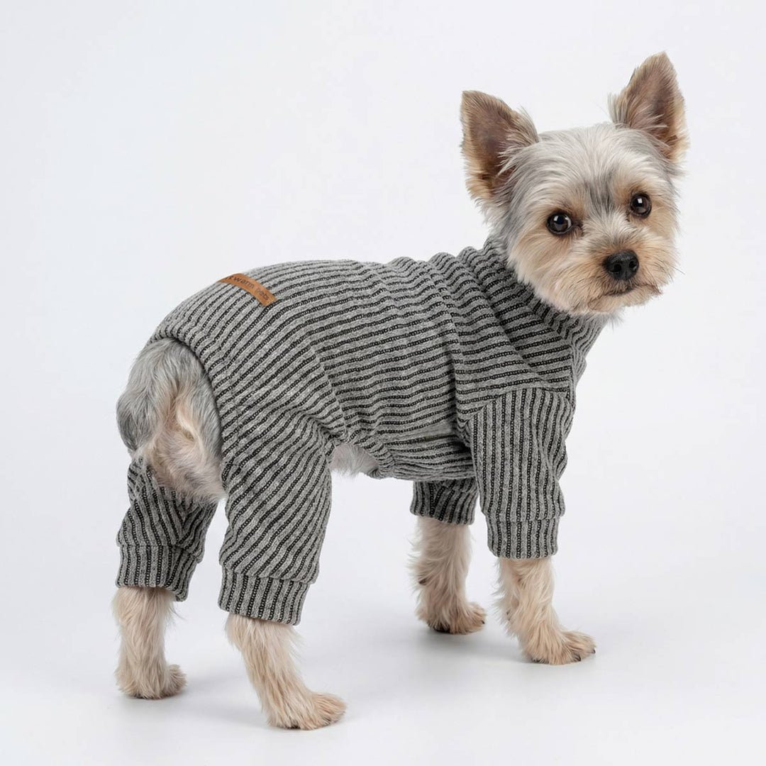Small dog in a knitted textured dog pjs