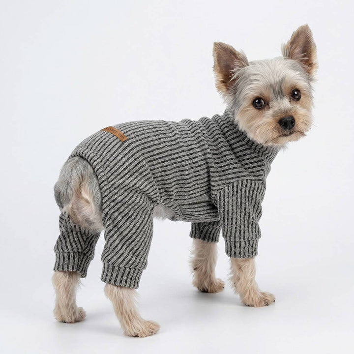Small dog in a knitted textured dog pjs