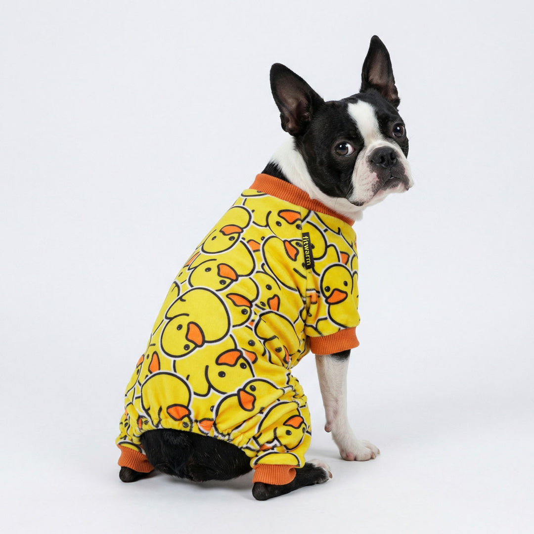 Boston Terrier wearing duck print dog pajamas, sitting on white background