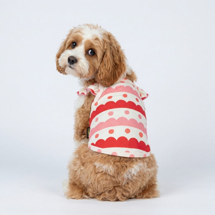 Small dog dressed in scallop pattern dog tank top with layered red and pink stripes