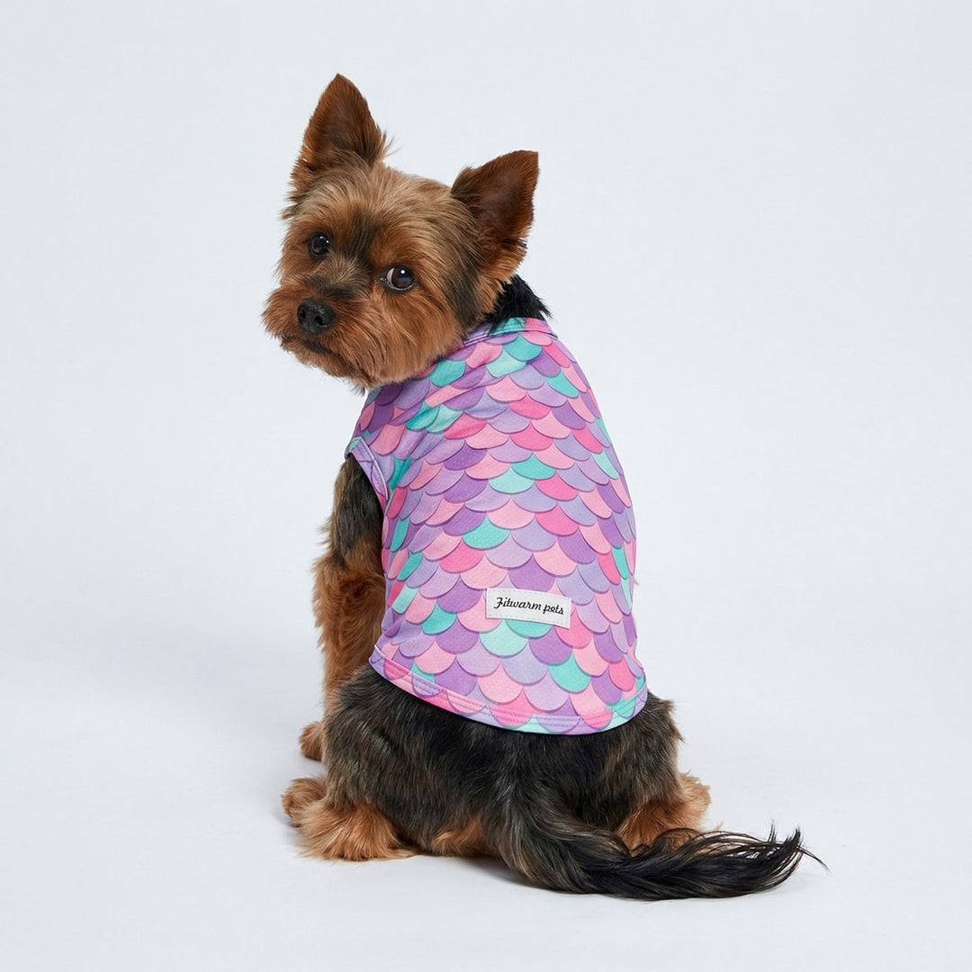 Small dog wearing a colorful fish-scale patterned dog uv shirt on a white background