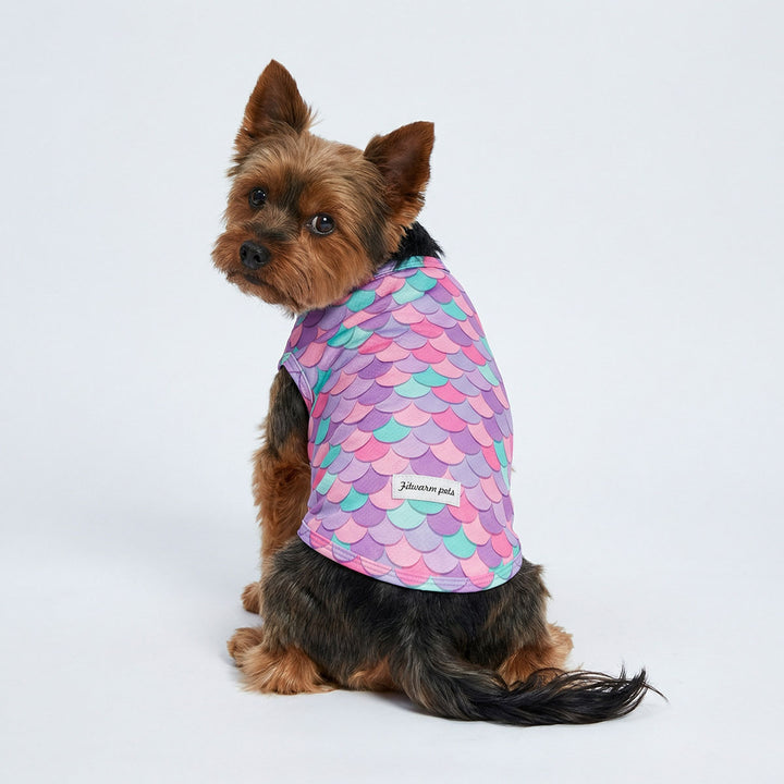 Small dog wearing a colorful fish-scale patterned dog uv shirt on a white background