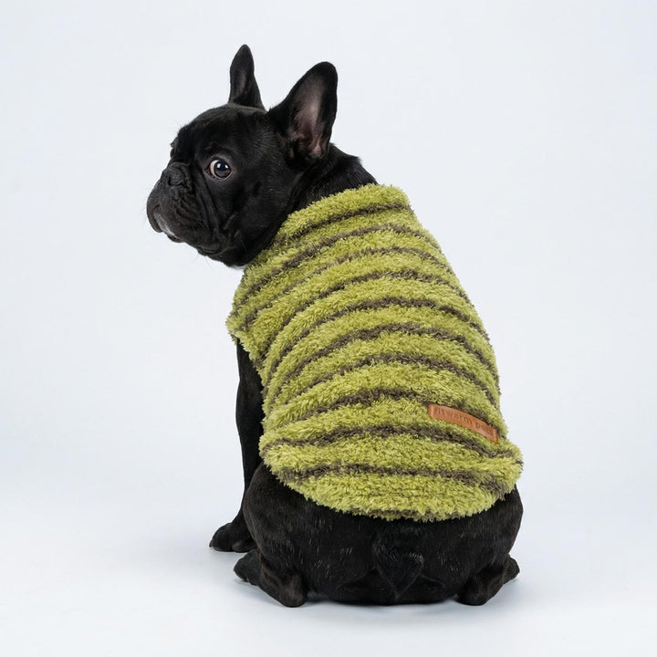French bulldog wearing striped dog fleece sweater with fuzzy texture
