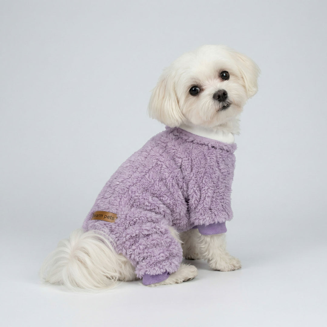 Small dog dressed in dog pajamas featuring collared neck and plush texture
