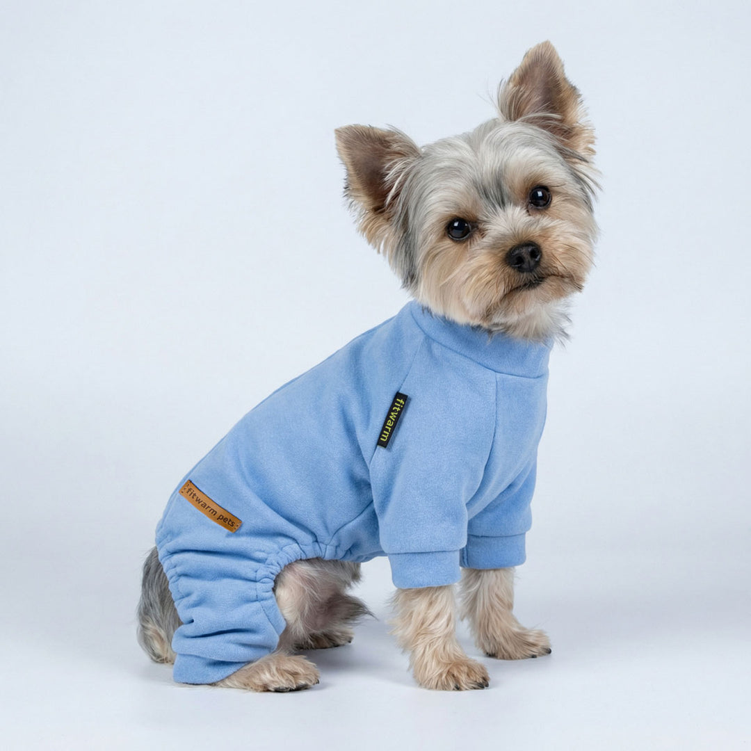 Yorkie sitting on the ground with soft dog onesie 