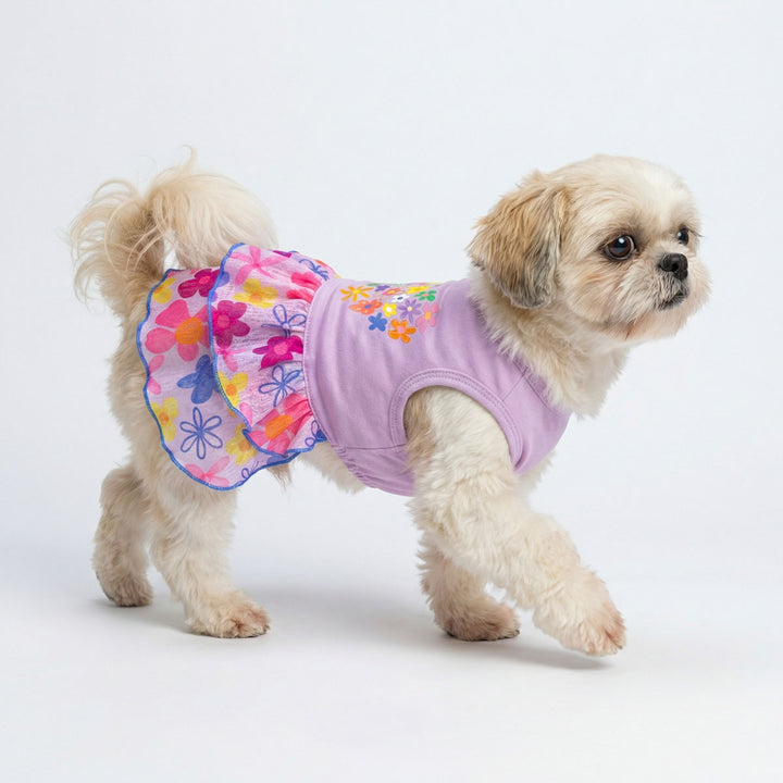 Floral dress for dog worn by a small dog photographed in studio setting