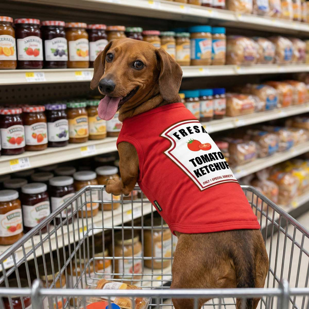 Dachshund wearing a funny ketchup dog tank top