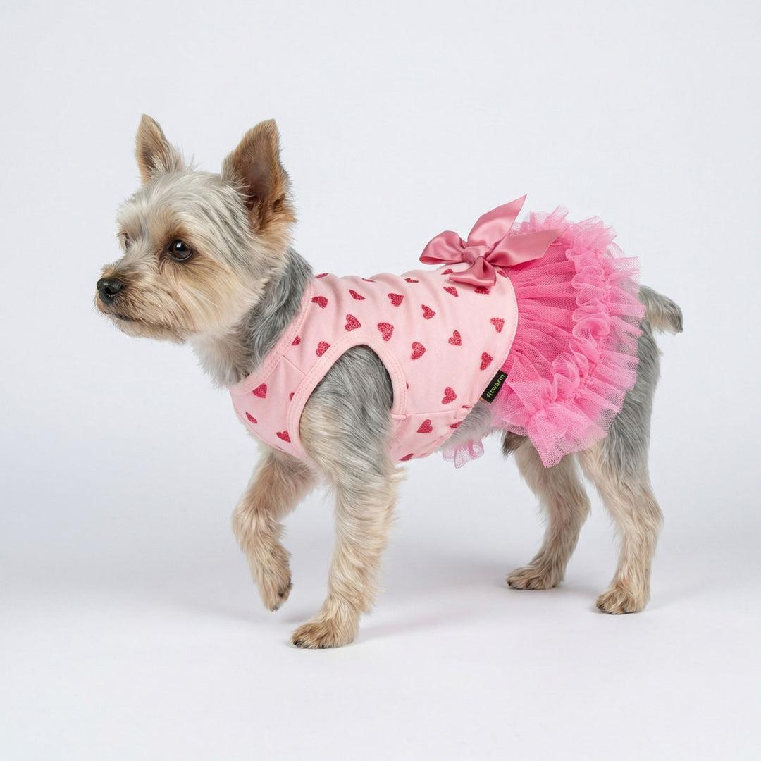 Small dog wearing a pink dog dress with sparkly heart print and tulle skirt