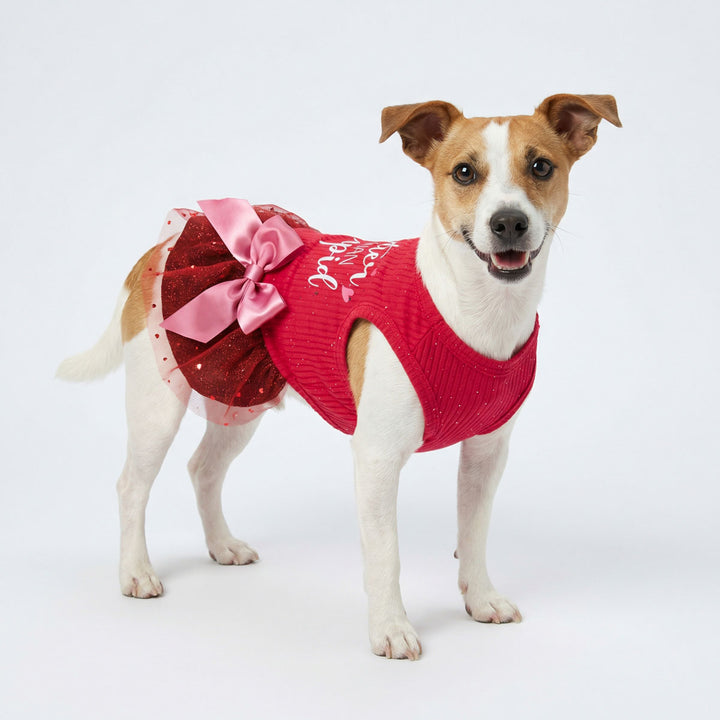Dog wearing a red dog valentine dress with a pink bow on a white background