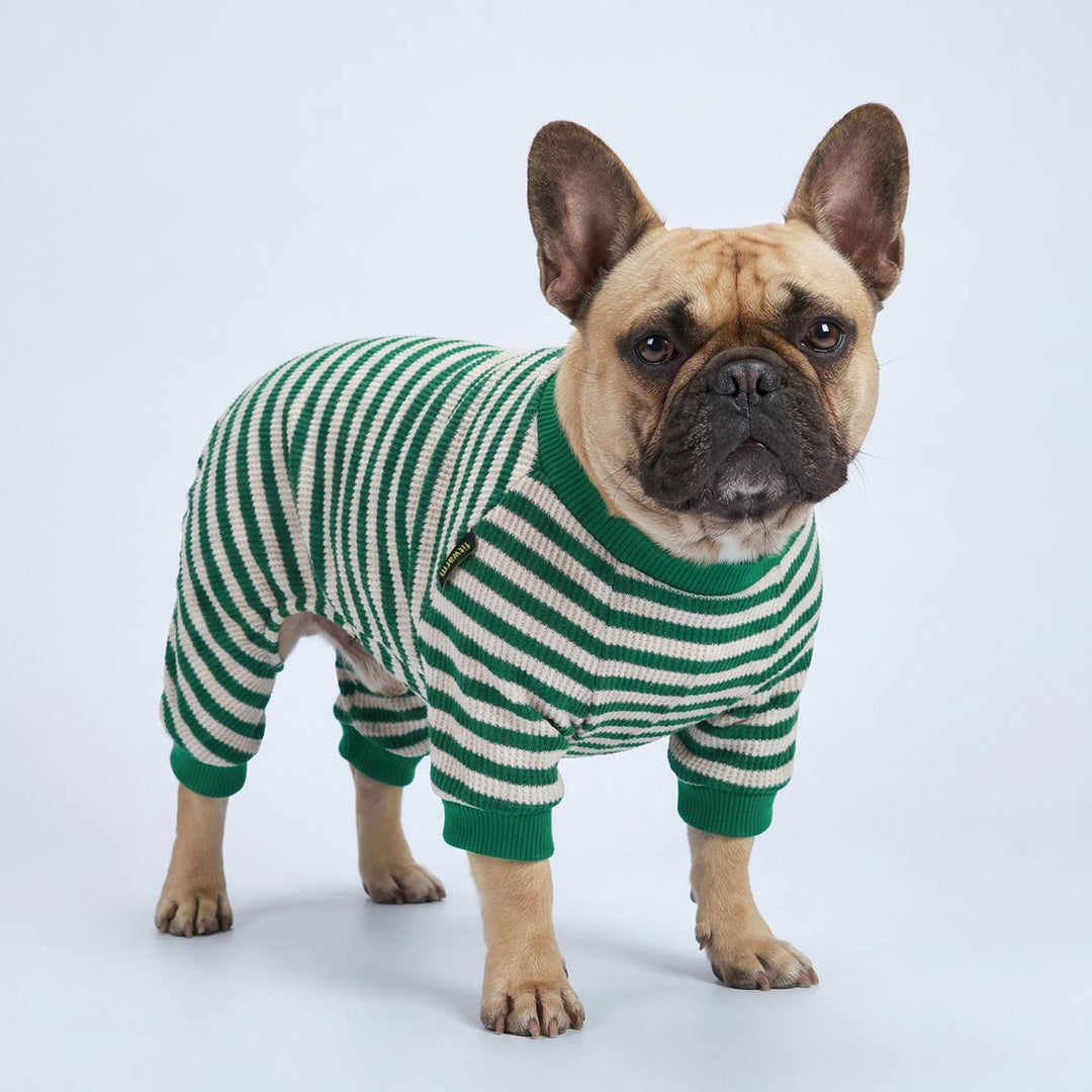 Classic green and white dog striped onesie dressed in a French Bulldog
