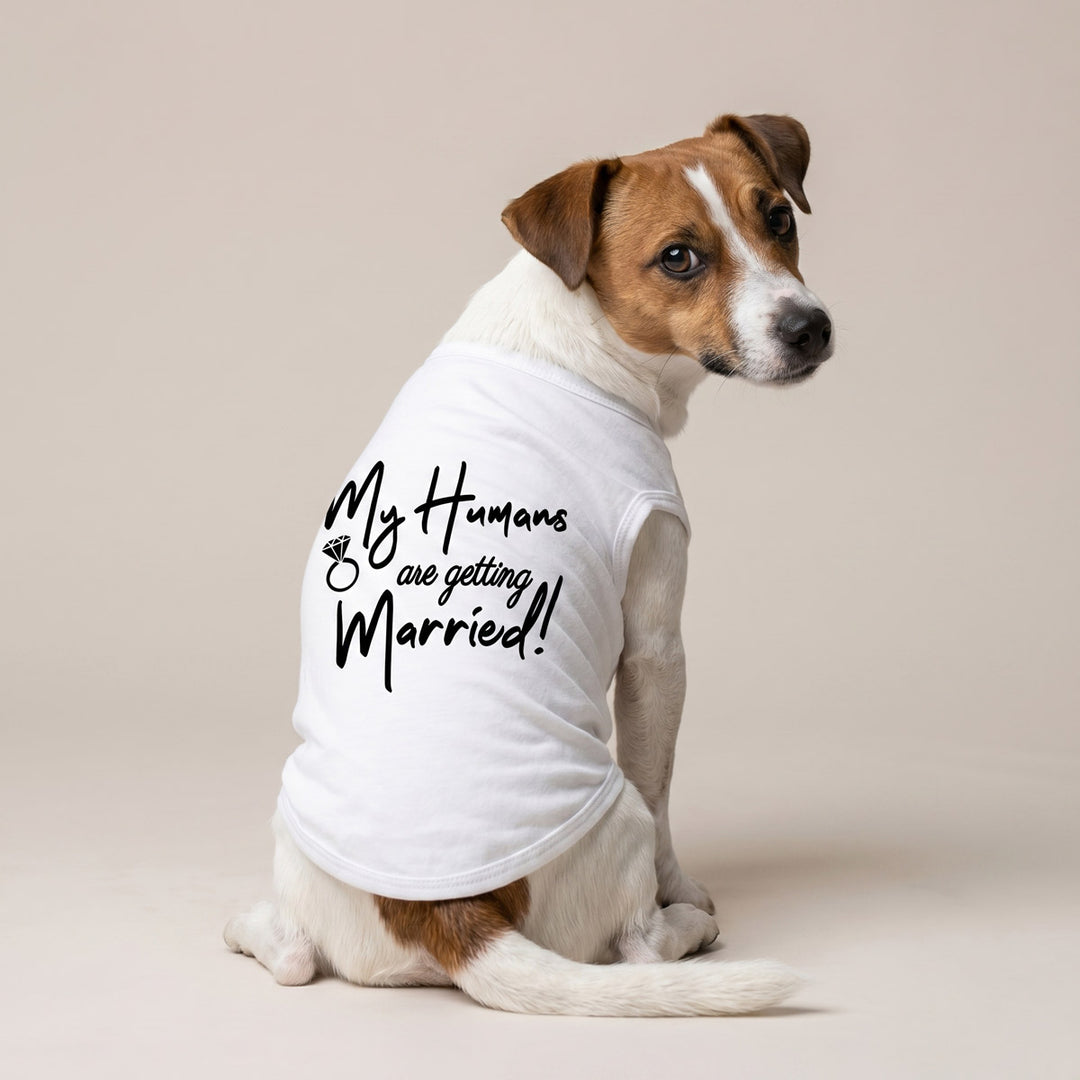Back view of small dog in a white dog tshirt with 'My humans are getting married !' lettering