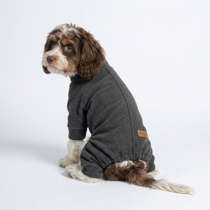 Small dog wearing dark gray dog pajamas with long sleeves and snug fit