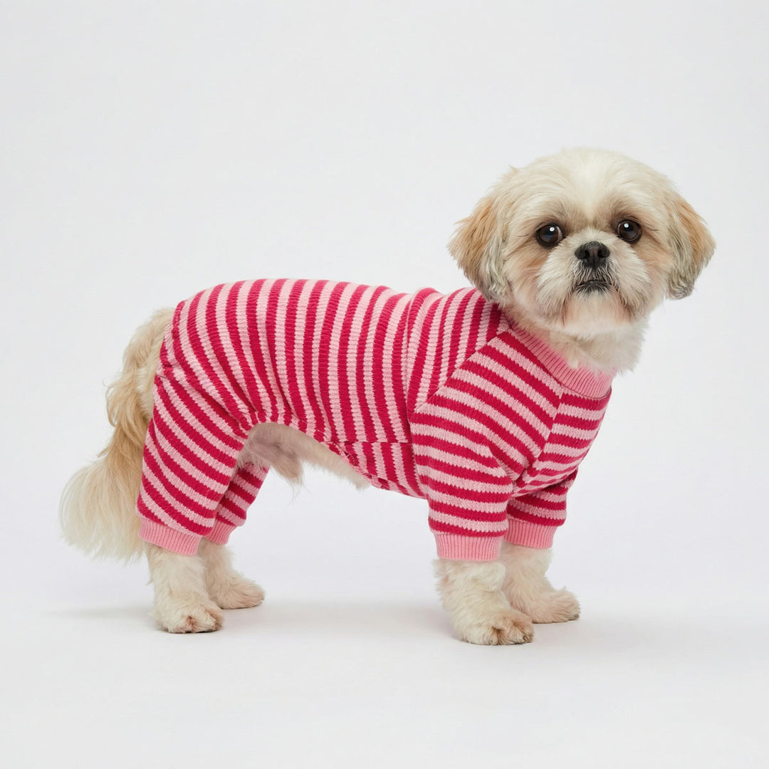 Small dog wearing a pink striped dog pjs on a white background