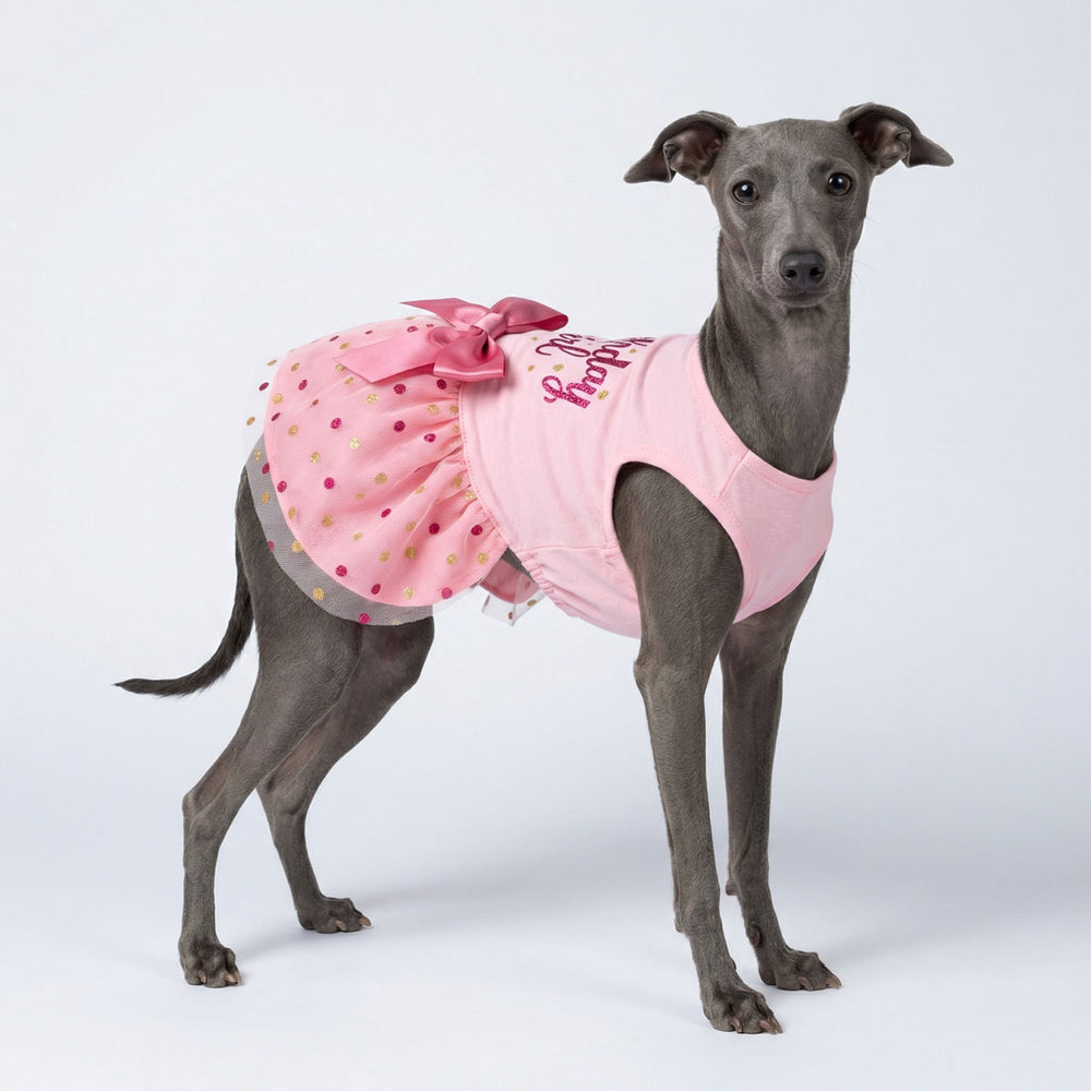Elegant dog dress with layered tulle and bow design worn by a dog