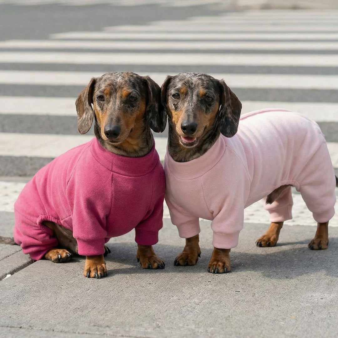 Two dachshunds wearing pink dog pjs standing on a street