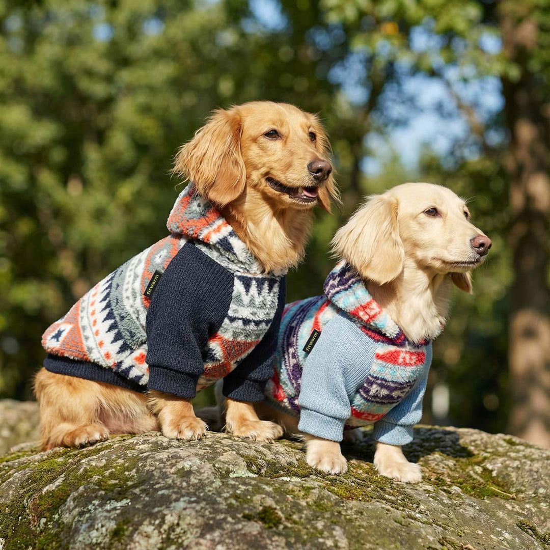 Dog hoodies shown on two dachshunds sitting on mossy rock