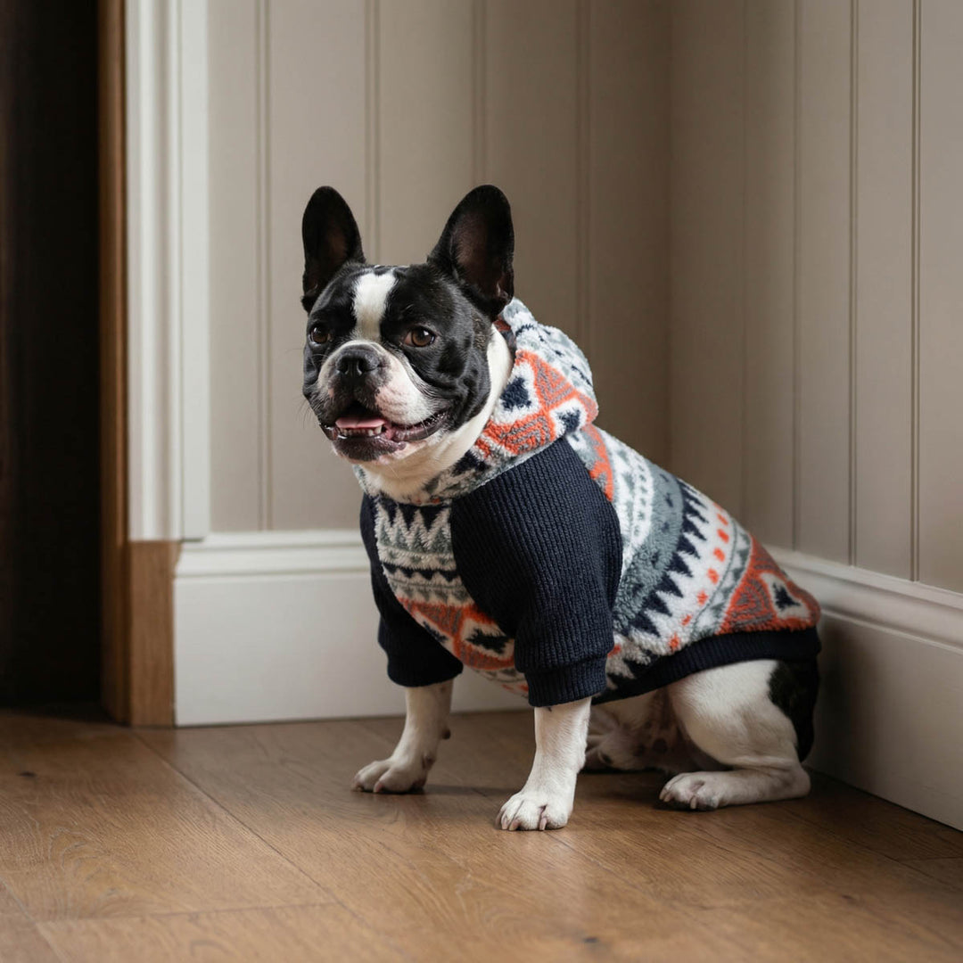 French Bulldog wearing a cozy, patterned knit dog sweatshirt with a hood, sitting on a wooden floor in a room with beige paneled walls