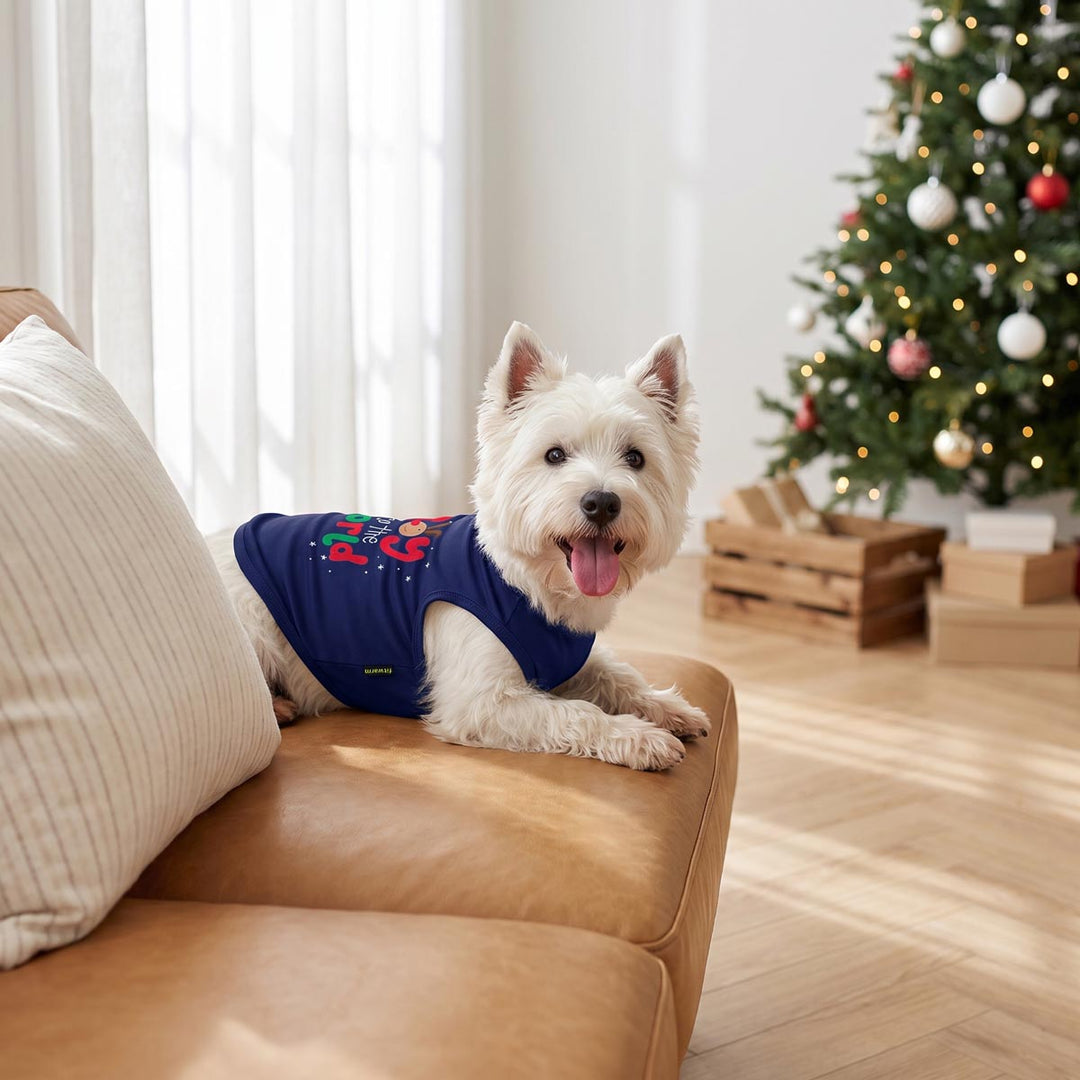 Small white dog wearing a navy blue Christmas-themed shirt for dogs with red and green holiday graphics, lying on a tan leather couch in a bright living room with a Christmas tree in the background