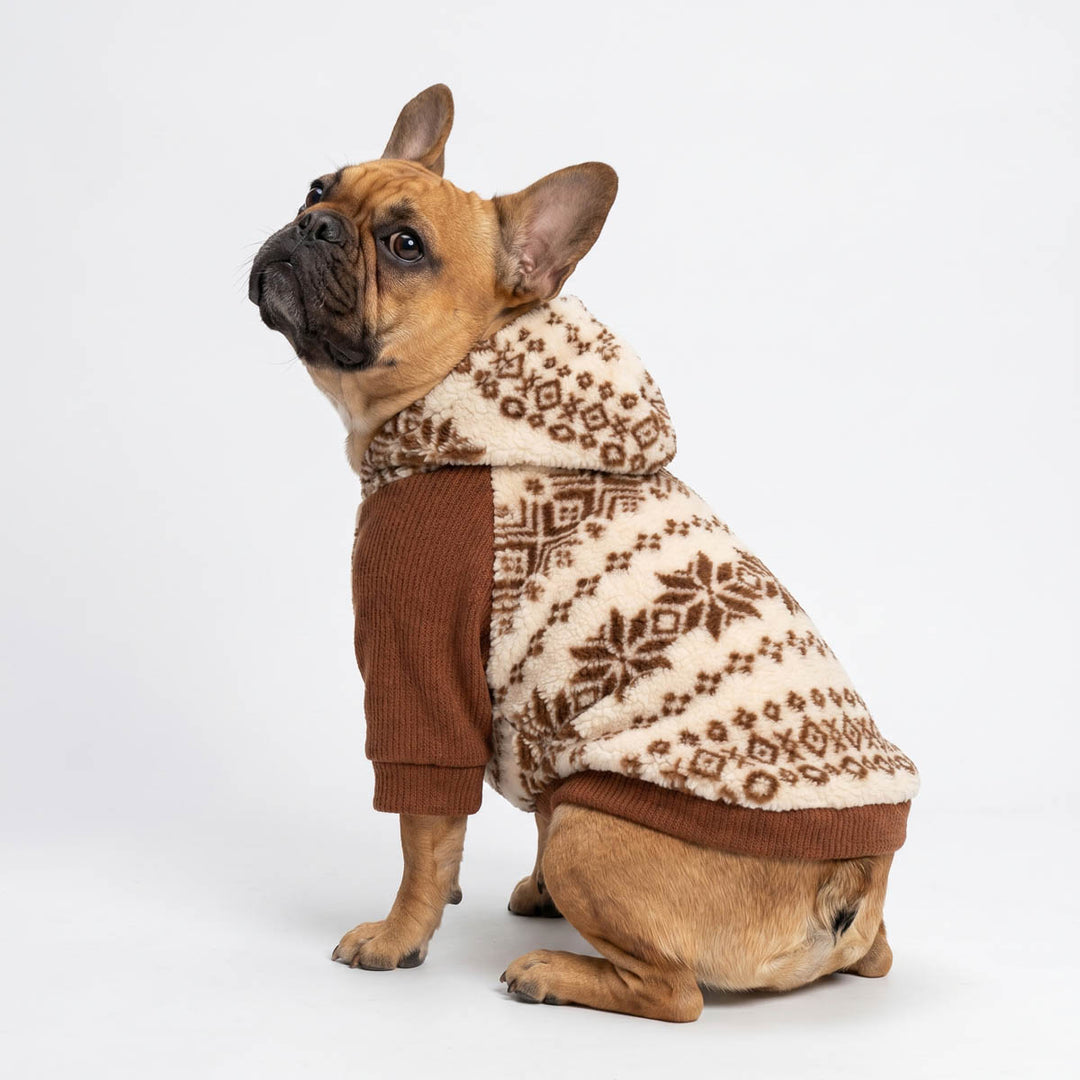 French Bulldog sitting in a white background with a brown hoodie for dogs