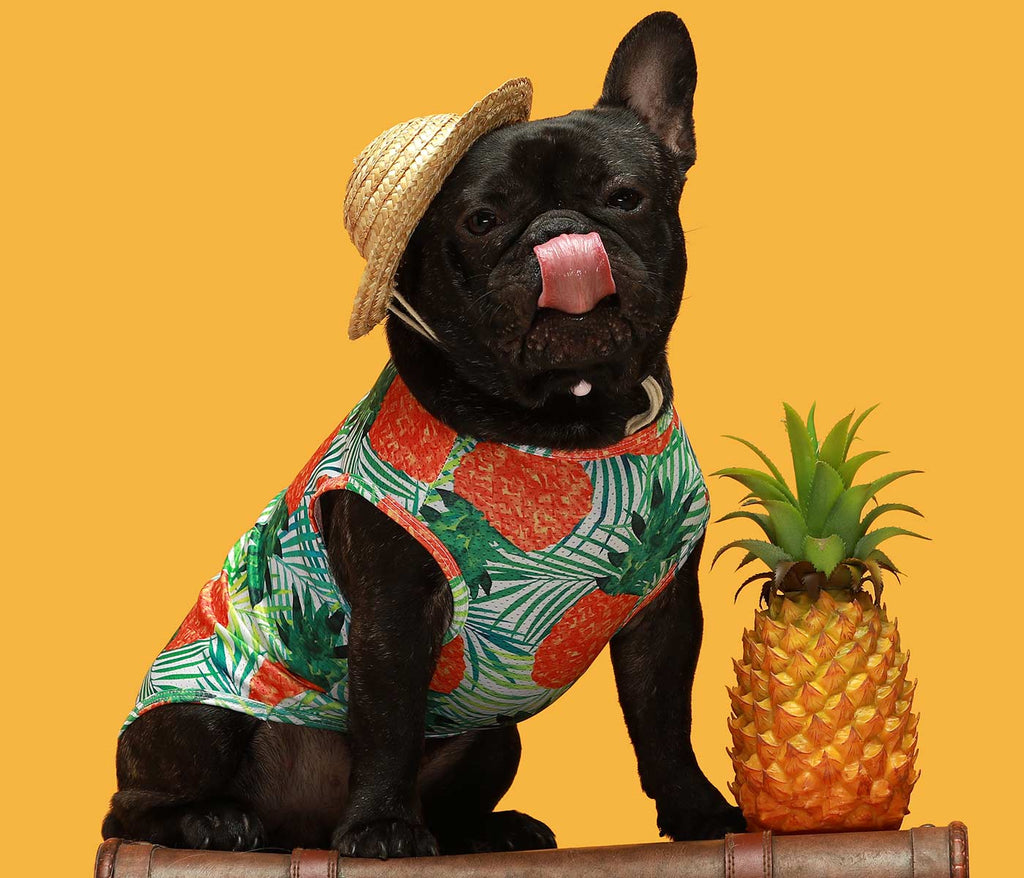 Green Pineapple Vest French Bulldog Shirts - Fitwarm