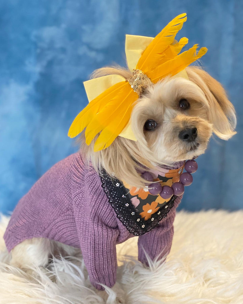 Turtleneck Knitted Yorkie Sweater - Fitwarm