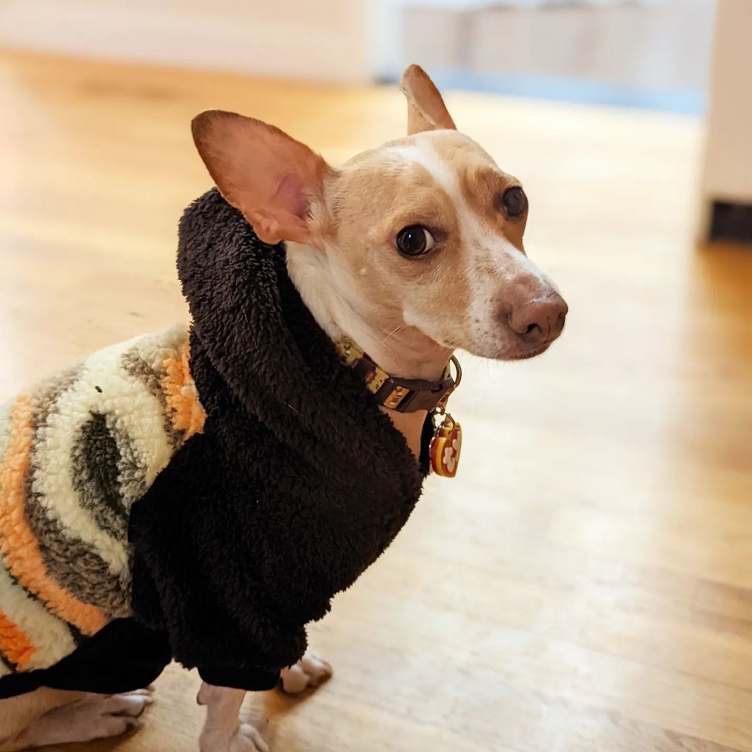 Dog Coat for Winter - Chihuahua Clothes - Fitwarm