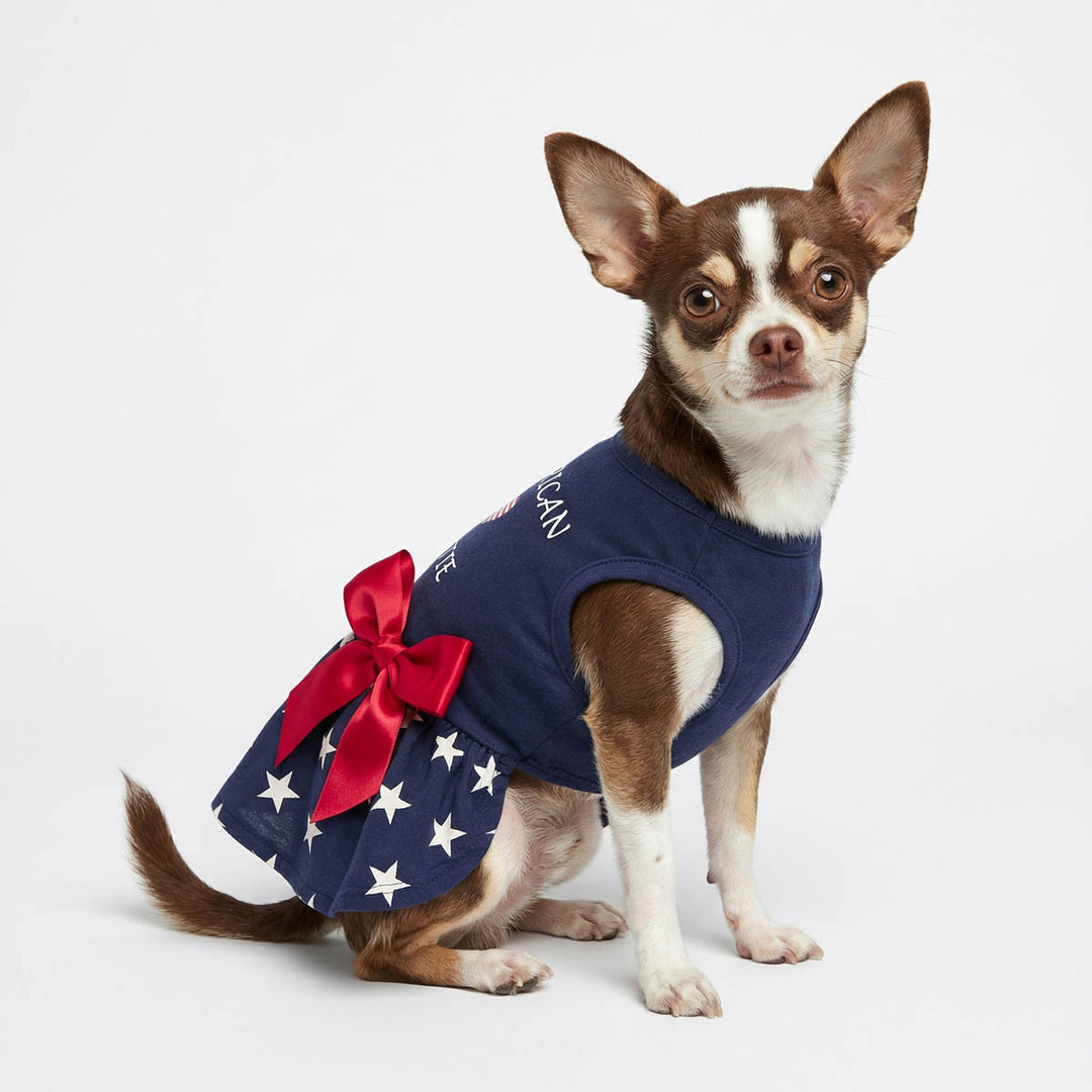 Chihuahua sitting in a white background with a star dress for dogs