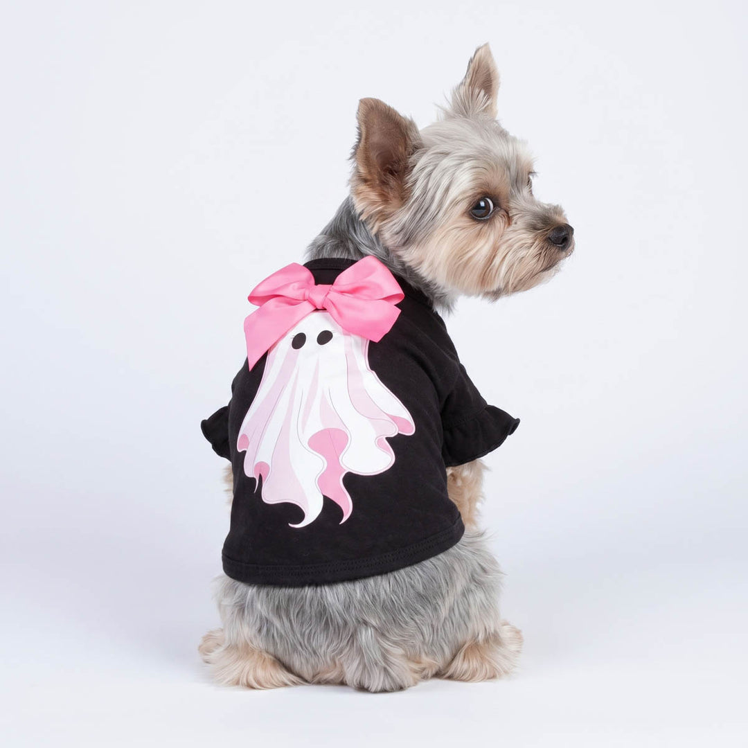 Small yorkie wearing a black shirt for dogs with a large pink bow and a ghost graphic, photographed against a clean white studio background