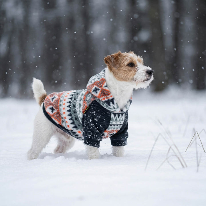 Small terrie dog standing in the snow wearing a hoodie for dogs with a geometric pattern in orange, white, gray, and black. The background is a blurred winter forest with falling snow