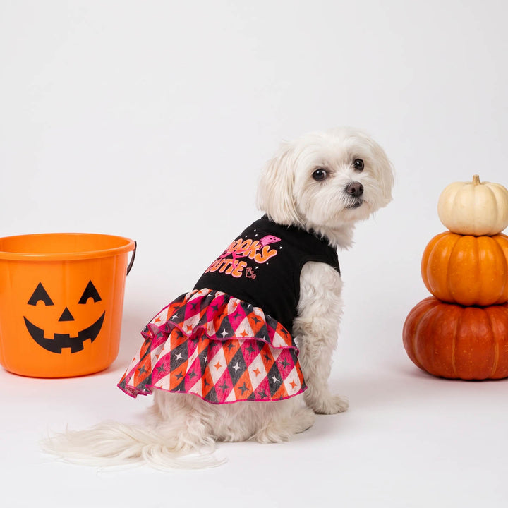 Small white dog wearing a black Halloween dress for dogs with 'Spooky Cutie' in pink and orange lettering, paired with a colorful argyle-patterned ruffled skirt